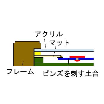 ピンバッジ額装 深型