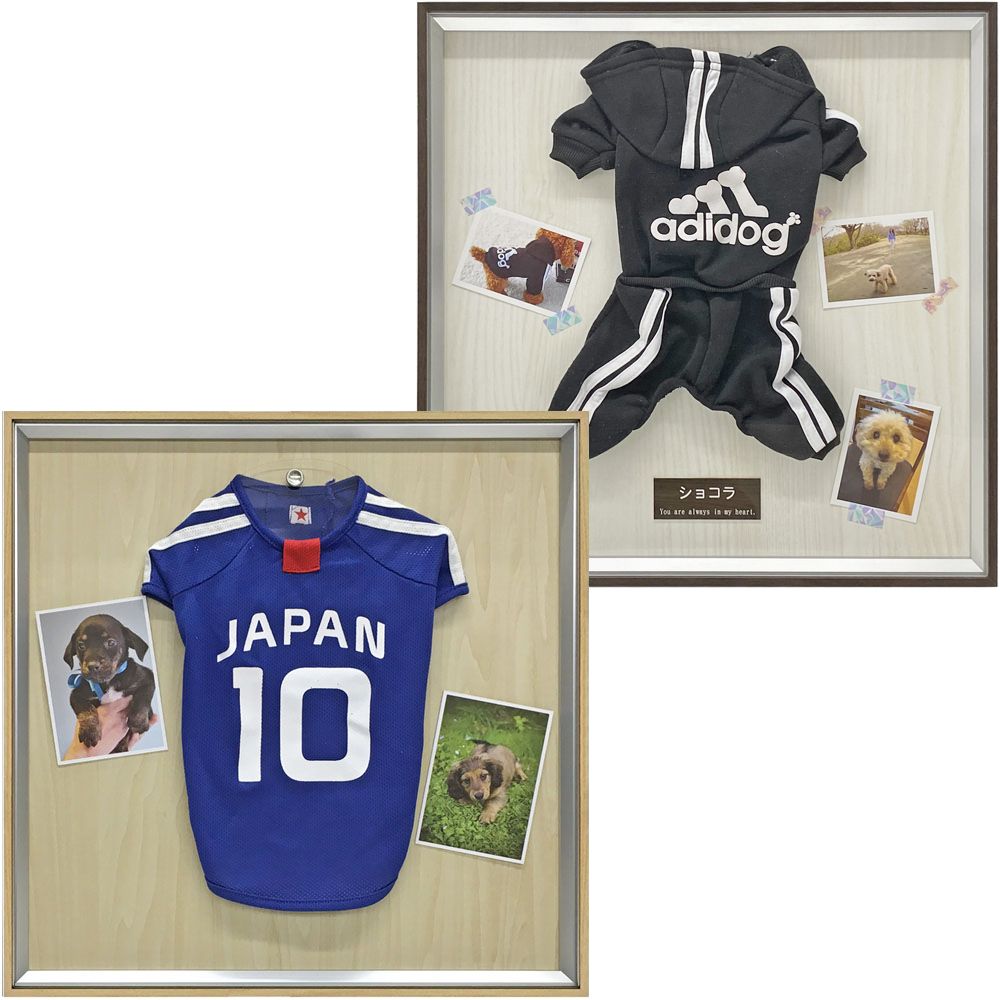 ペットメモリアル専用額