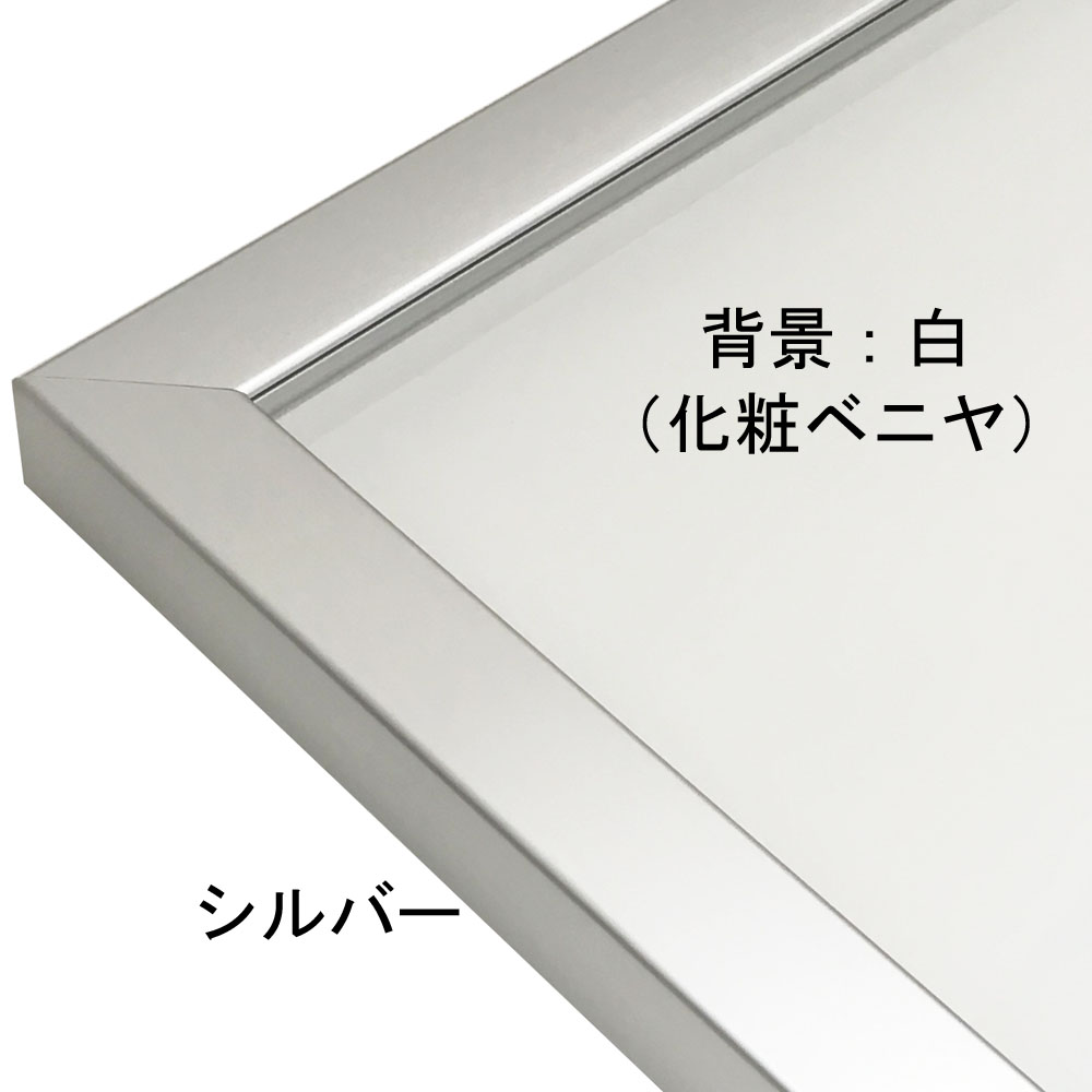 ユニフォーム額 L217