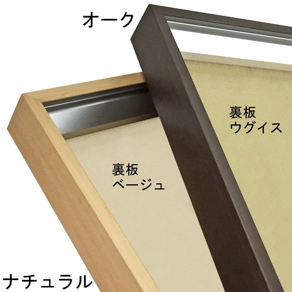 立体額 シェリール・細目布