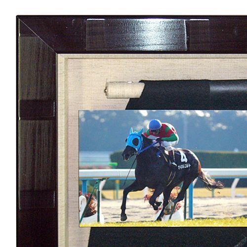 競走馬のゼッケン