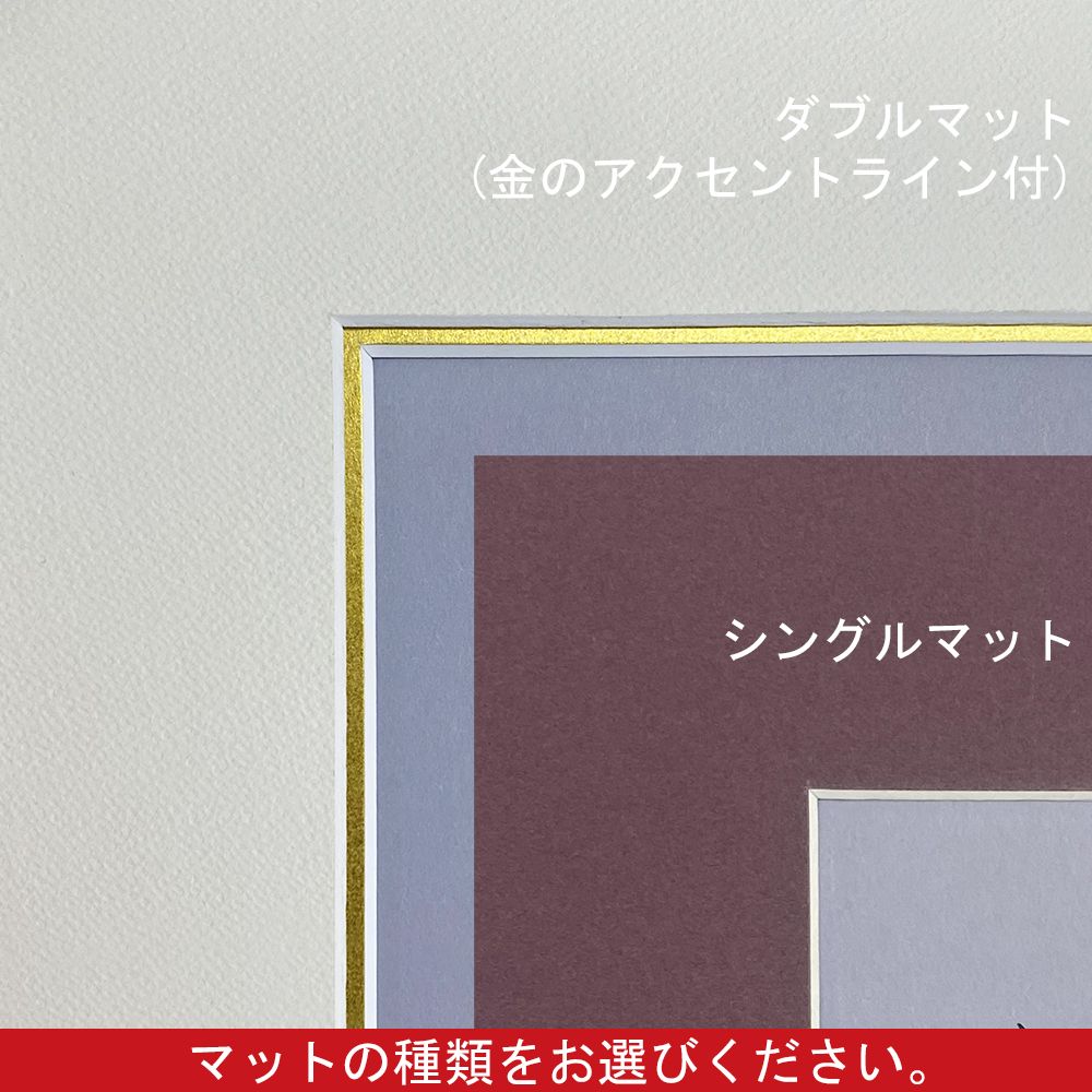 色紙複数入 CF