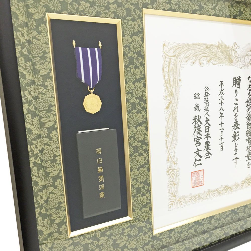 紫白綬有功章