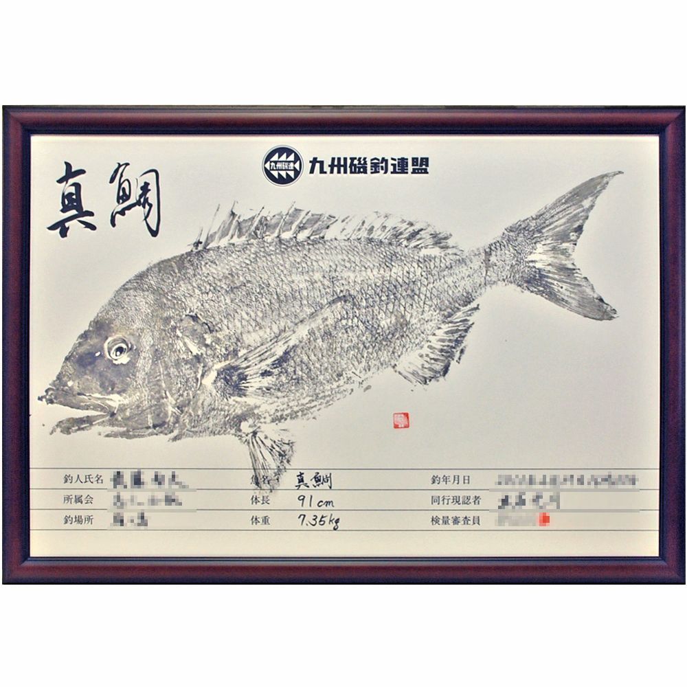 魚拓 真鯛