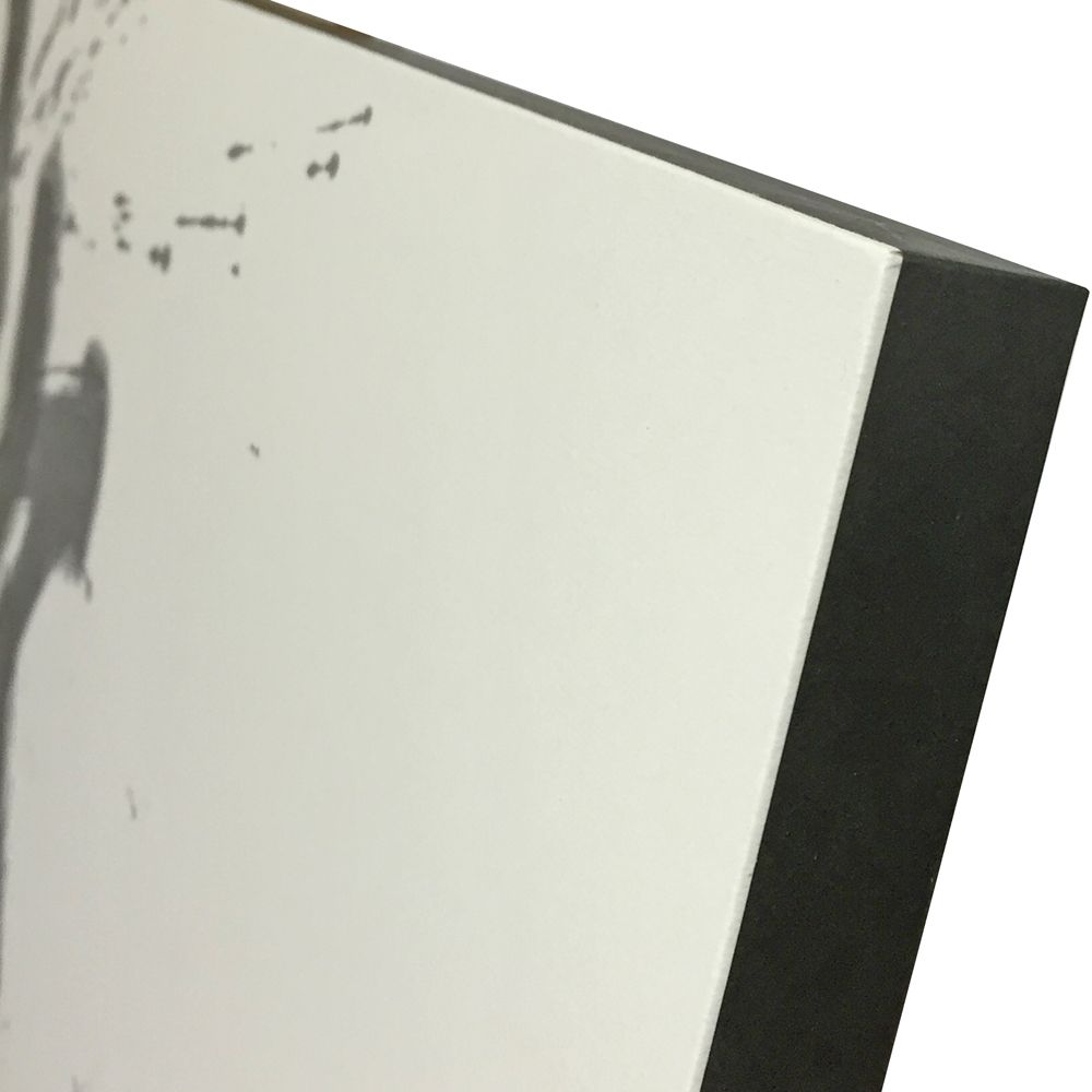 動書 パネル仕立て