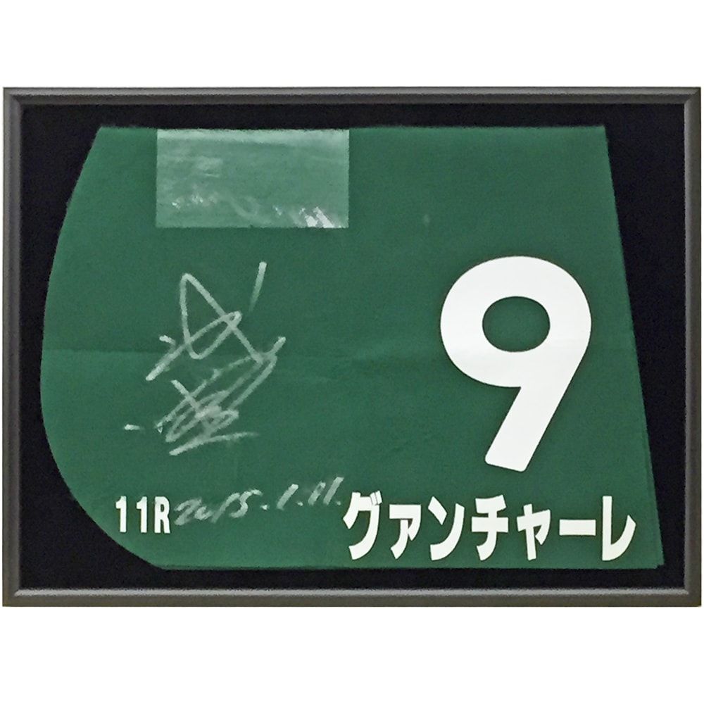 競走馬のゼッケン