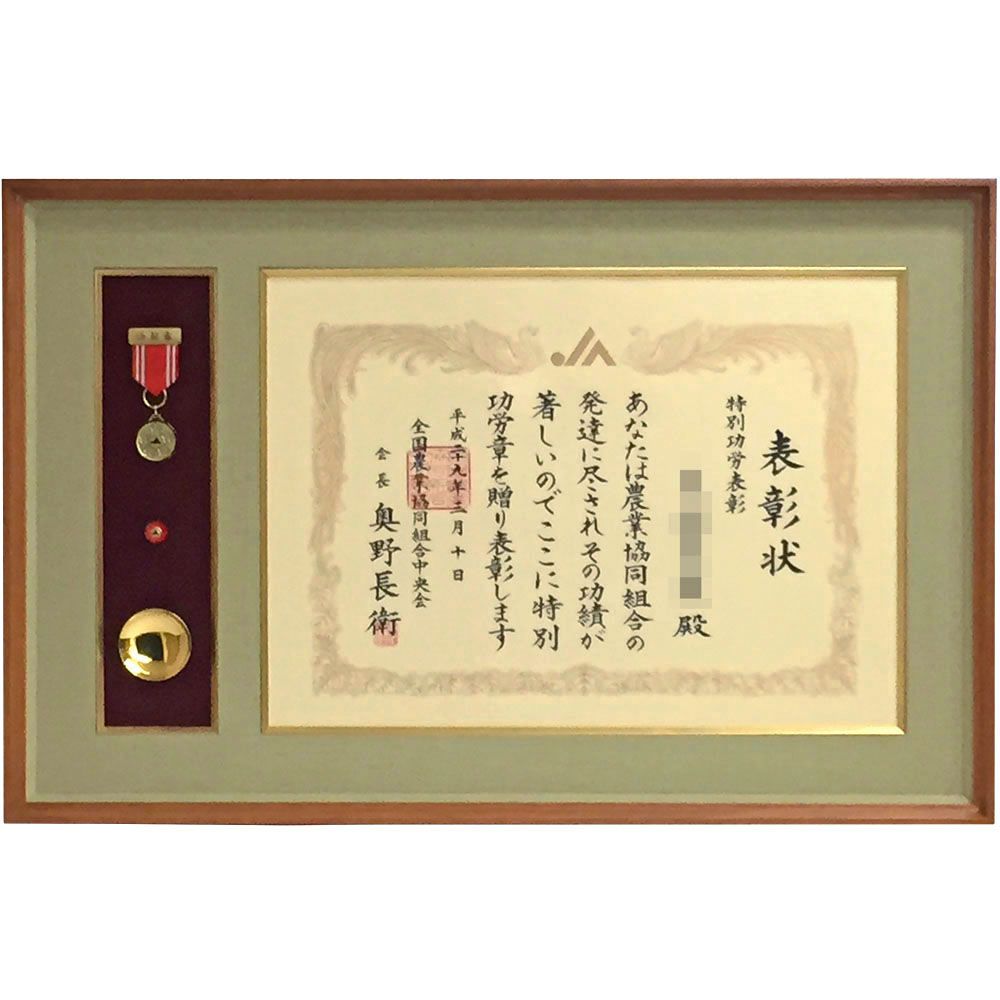JA 特別功労表彰(紅綬)