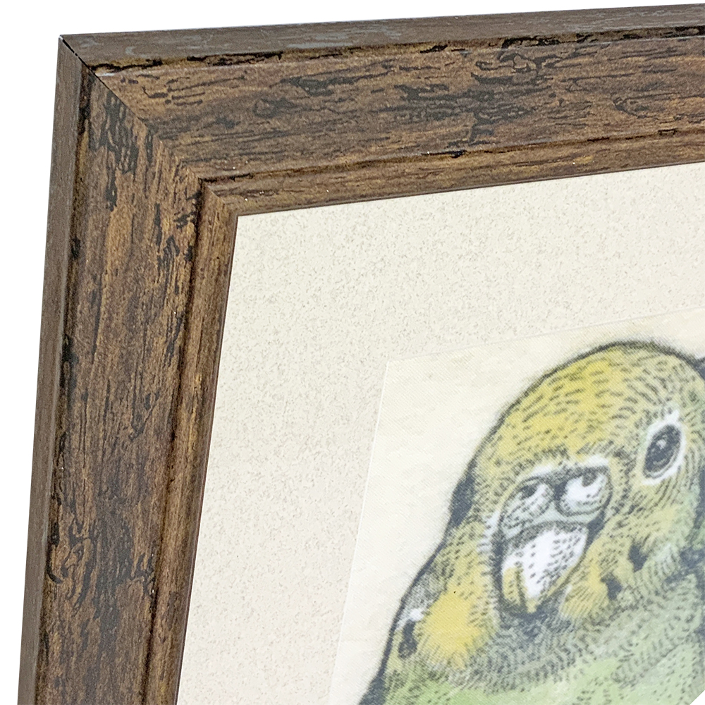 ヒグチユウコ 手拭い 鳥の巣
