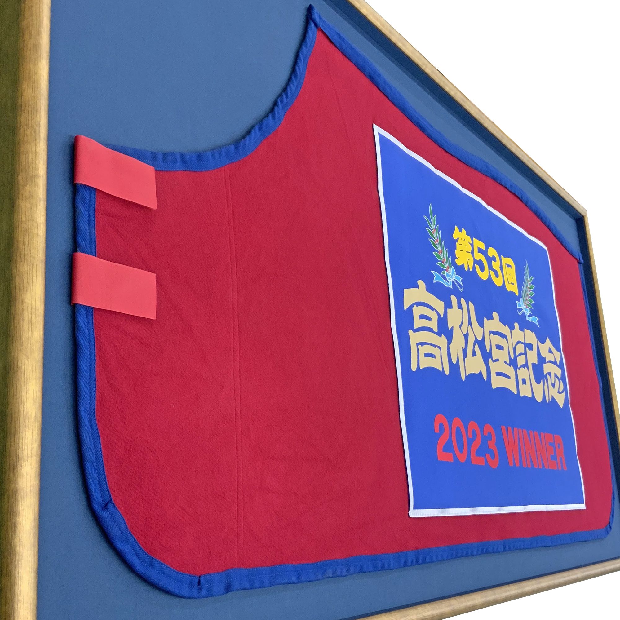 競走馬 優勝馬着