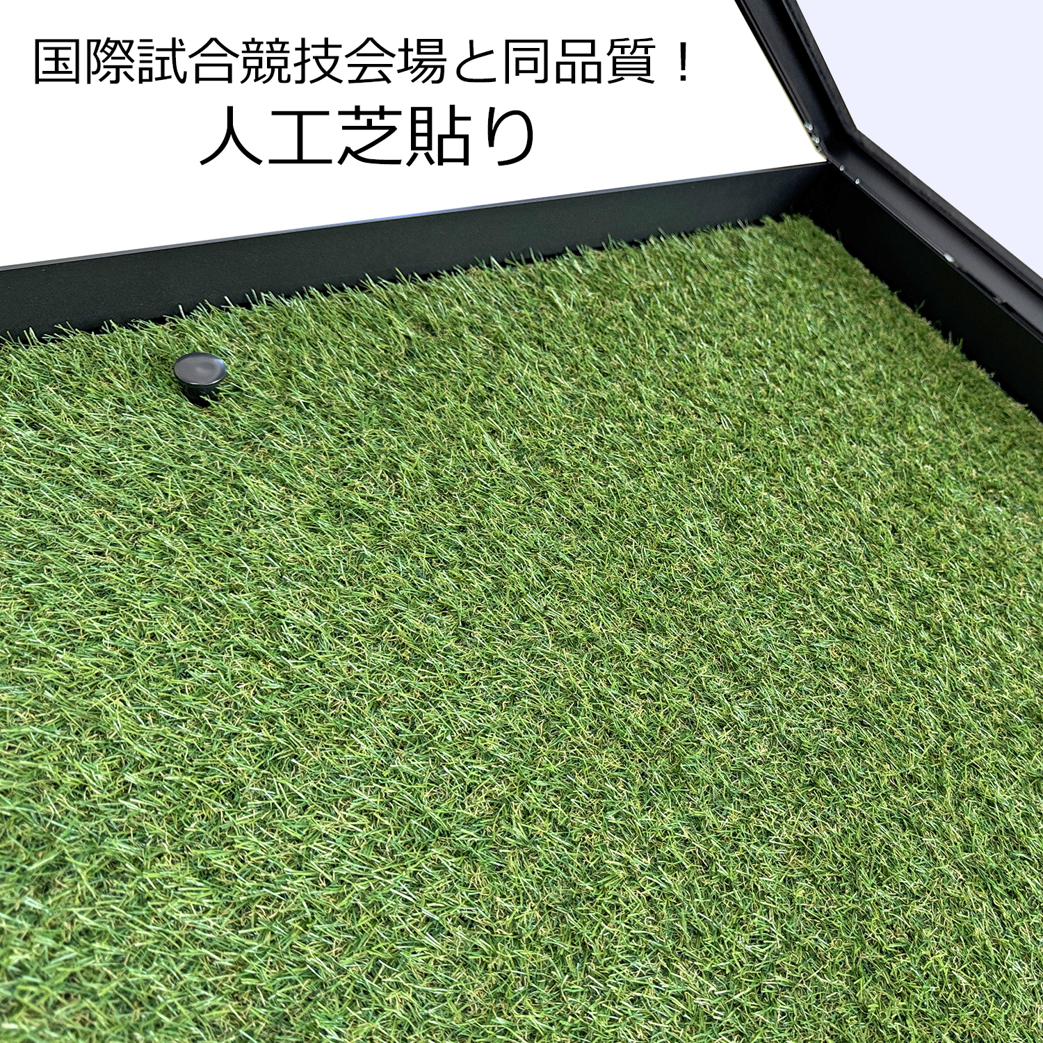 前開式 ハイライト・芝