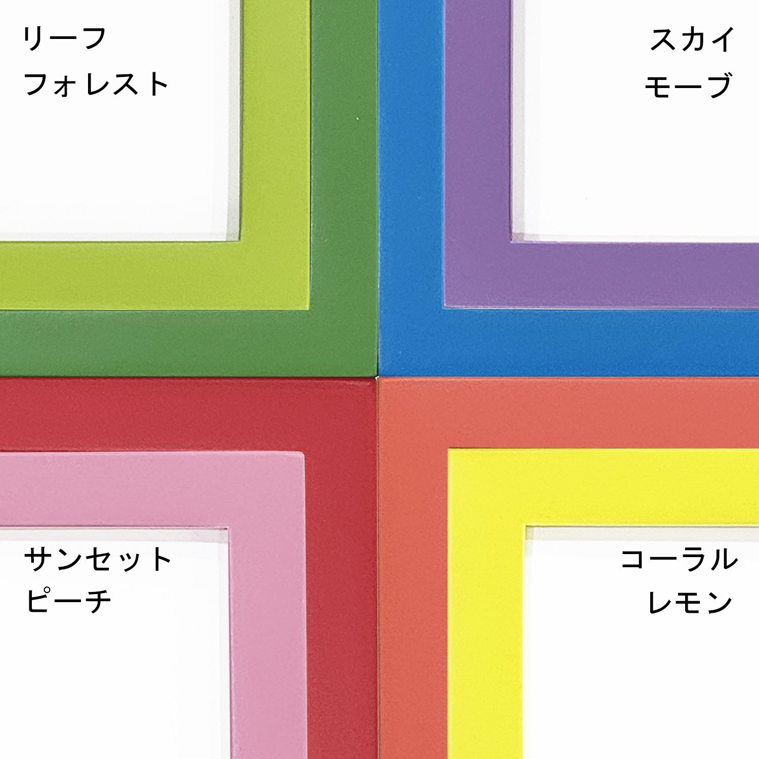 一般額 アルダー11