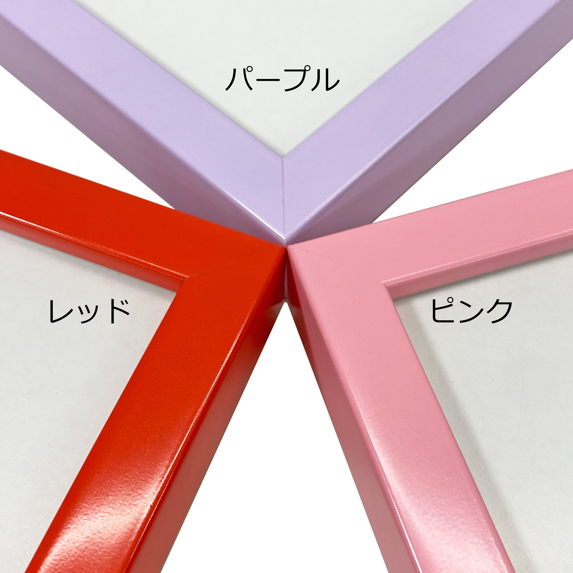 クリアファイル専用 カラー推し額