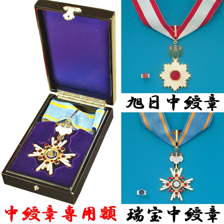 [中綬章専用]勲記勲章位記額 NR20